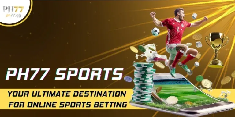 Chương trình VIP 312win