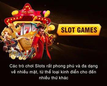 Mega Win Gaming